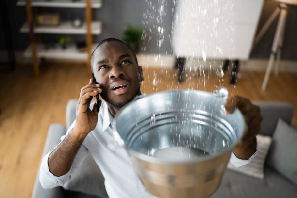 Best Professional water damage repair  in Grand Blanc, MI