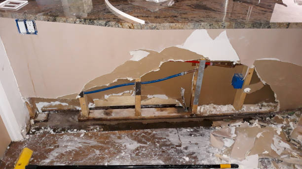 Water damage restoration mold remediation in MI
