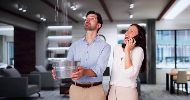  Grand Blanc, MI Water damage restoration Pros